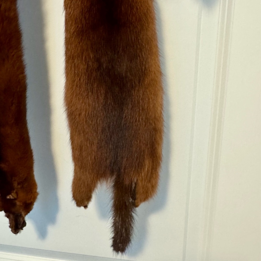 Vintage Red Fox Stole - Picture 5 of 10
